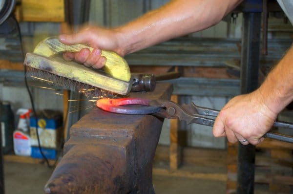 12 week farrier course