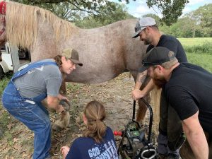 24 week farrier course - Arkansas Horseshoeing School