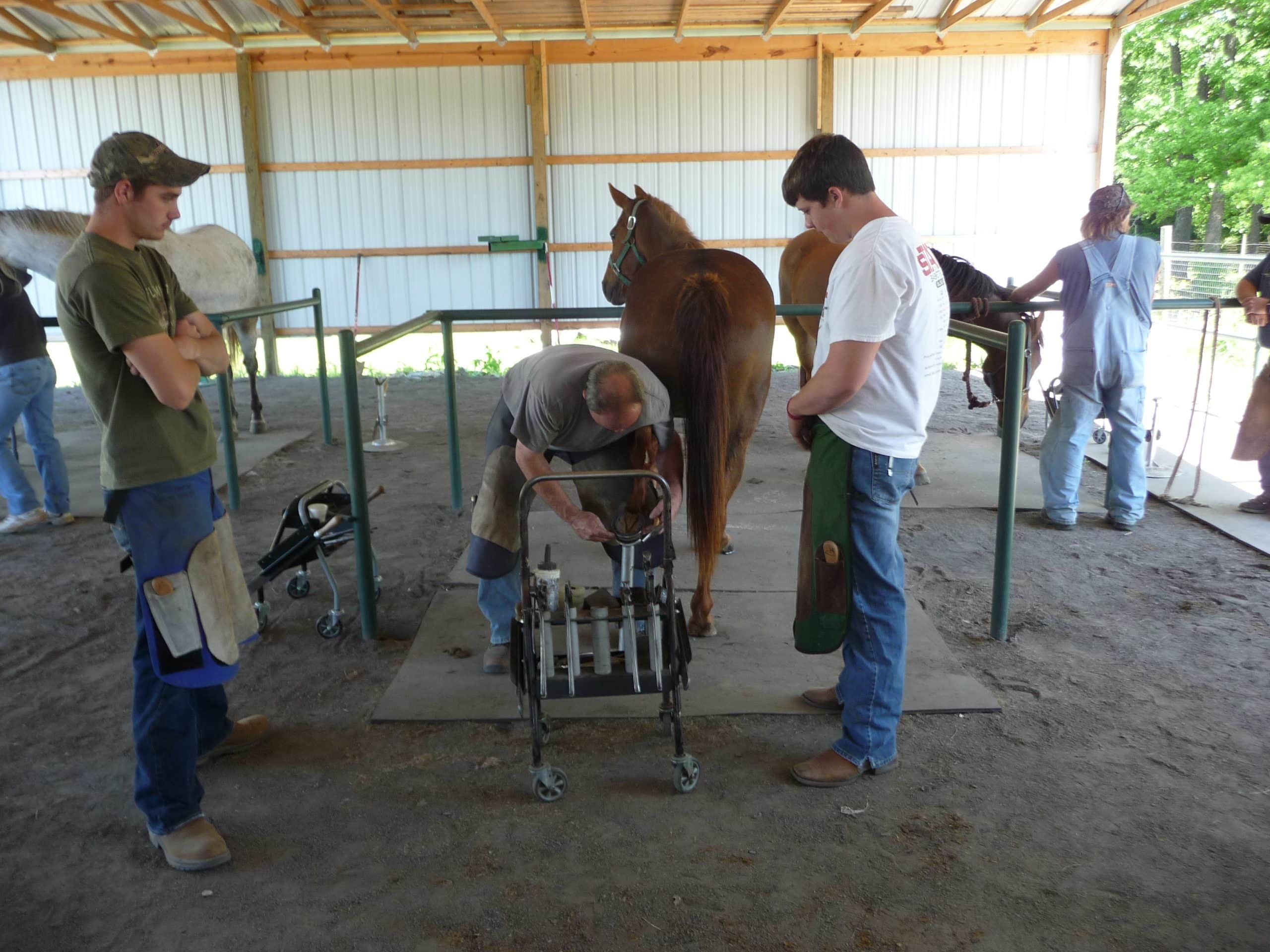 Arkansas Horseshoeing School - Photo 2