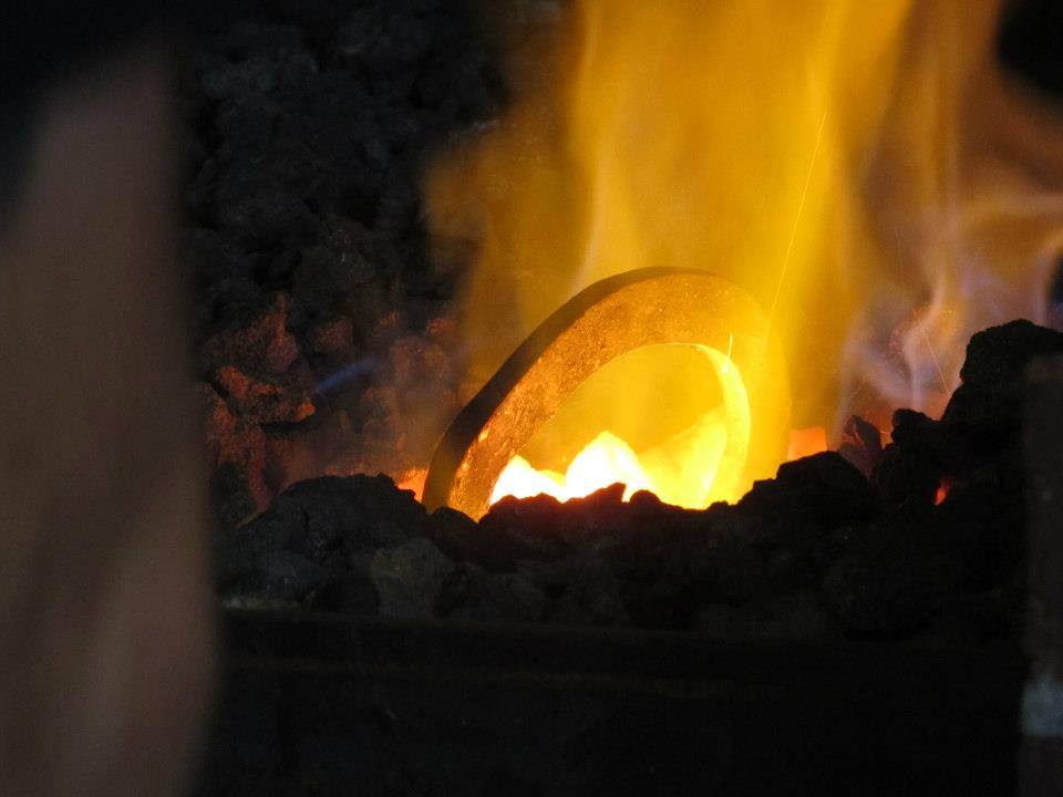 Arkansas Horseshoeing School - Photo 4