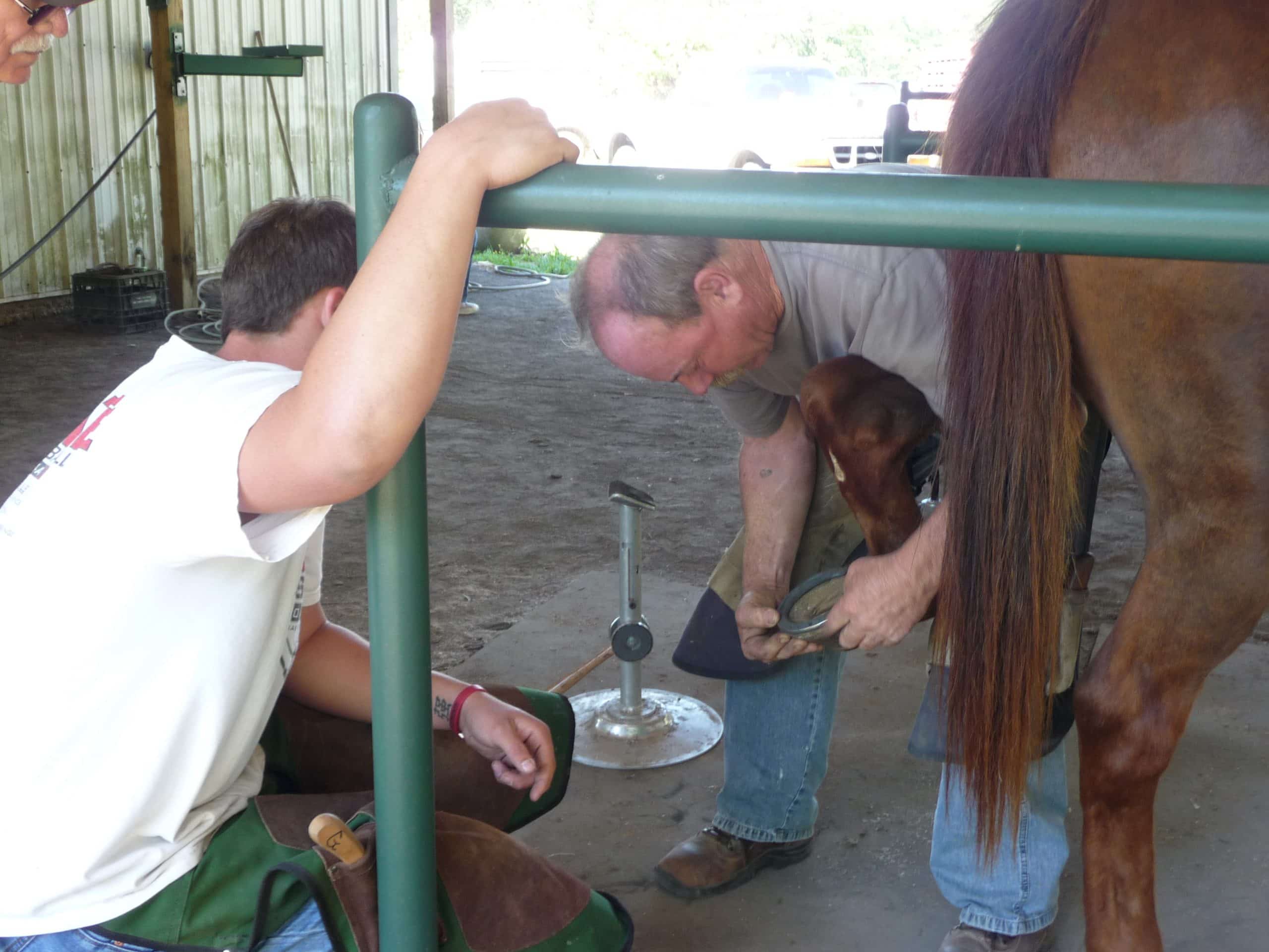 Arkansas Horseshoeing School - Photo 3